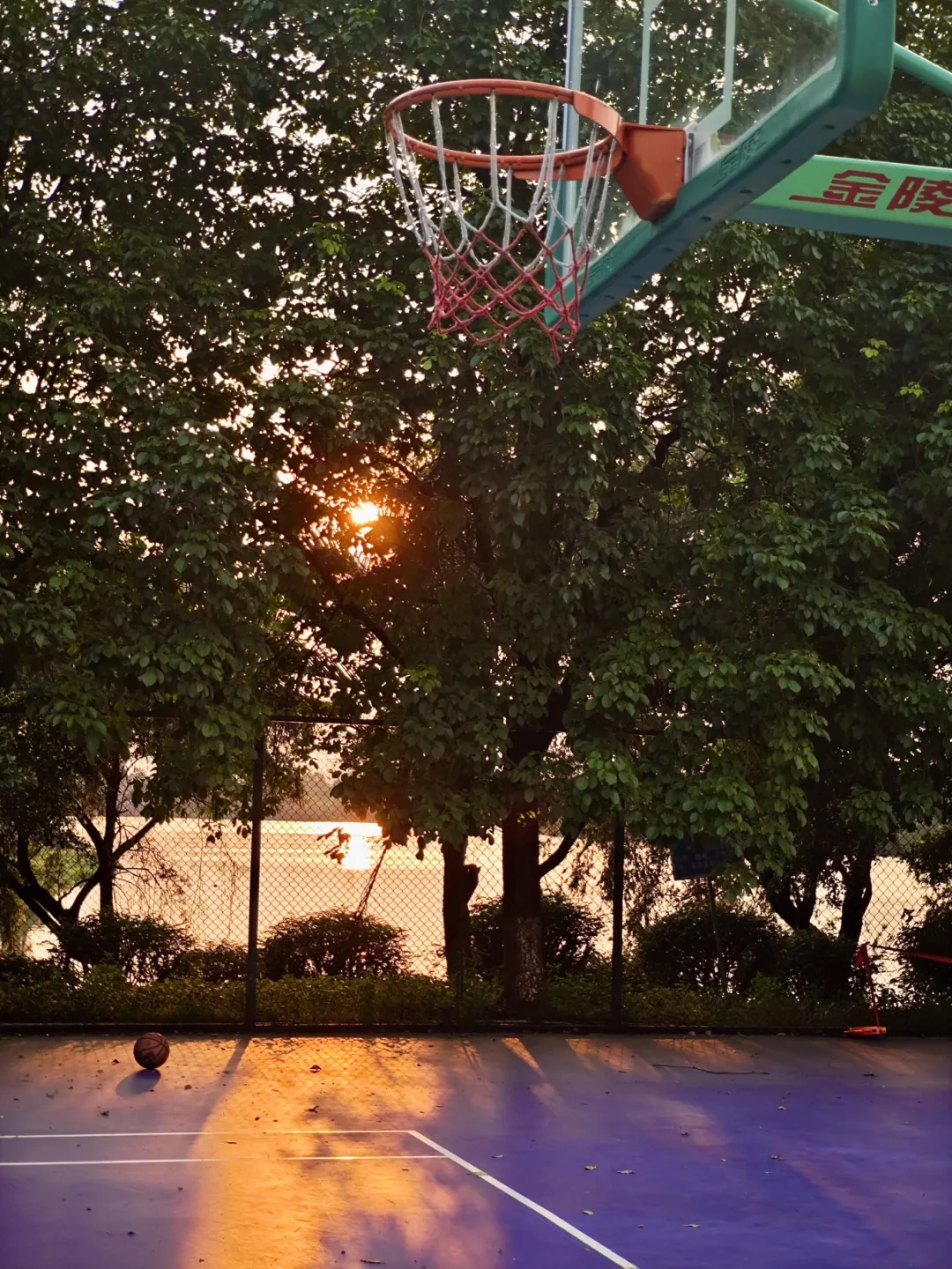 12a03968a19649ae8710b8c8d2f3ee49.png