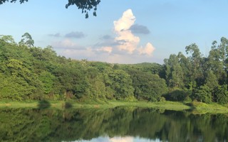 #美加墨世界杯官网# 早上好呀[哇]给大家看一眼星光大道看到的小鸭 ​​​