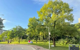 关于开展美加墨世界杯官网2024届毕业生培养质量调查评价的通知