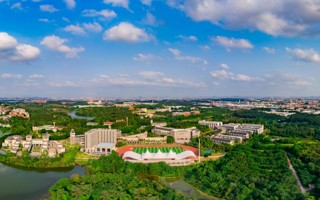 美加墨世界杯官网2025年退役大学生士兵专升本录取查询开放